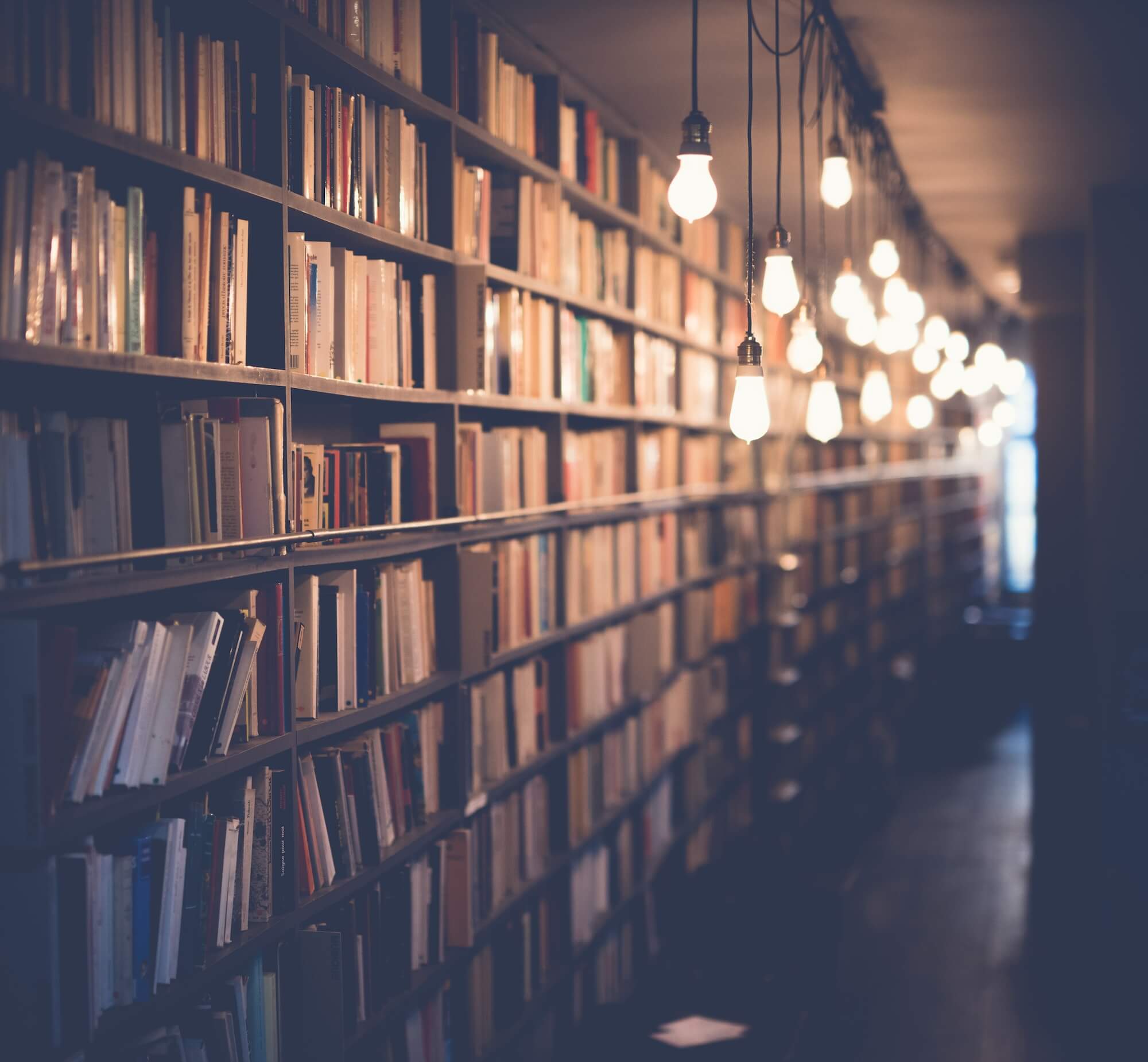 Manager reading in a modern office